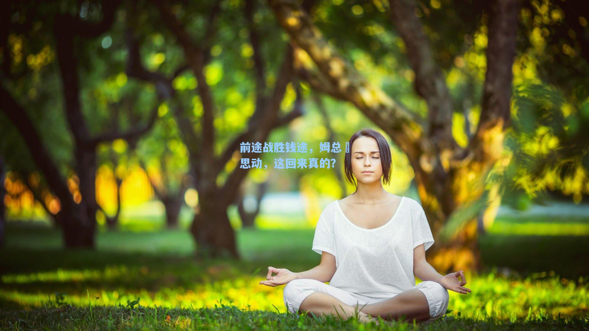 前途战胜钱途，姆总叕思动，这回来真的？