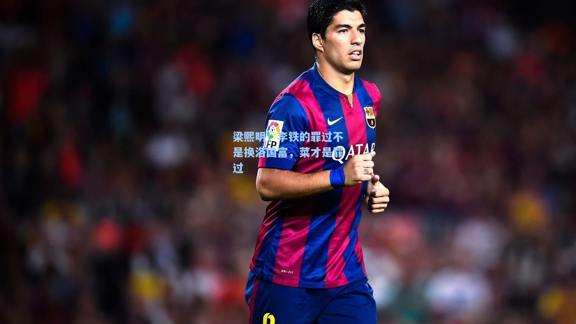 梁熙明，李铁的罪过不是换洛国富，菜才是罪过