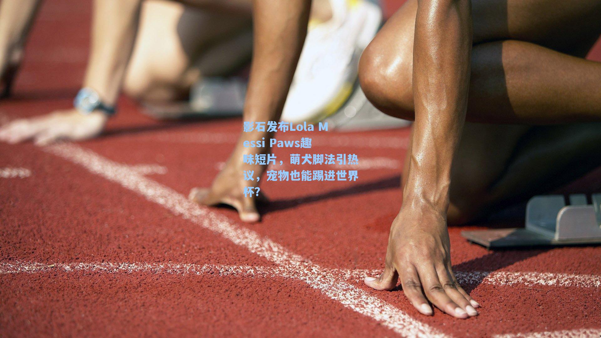 影石发布Lola Messi Paws趣味短片，萌犬脚法引热议，宠物也能踢进世界杯？